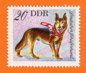 DSH_DDR_1976